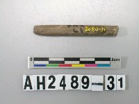 藏品(磨製石針)的圖片